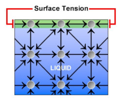 Tensione superficiale spiegazione