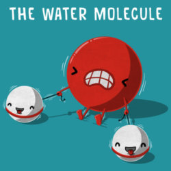 Molecola d'acqua